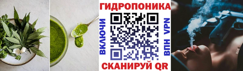 Cannafood конопля  Соликамск 