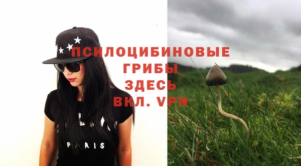 шишки Абинск