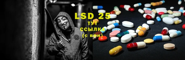 шишки Абинск