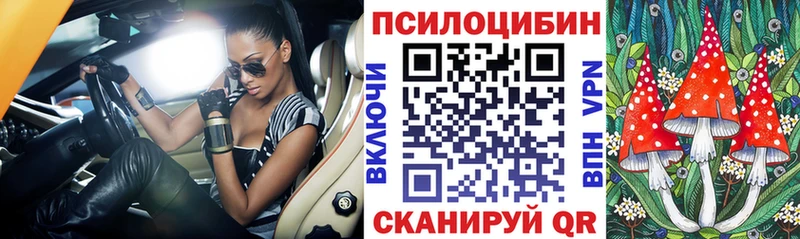 где продают   Соликамск  Псилоцибиновые грибы мицелий 